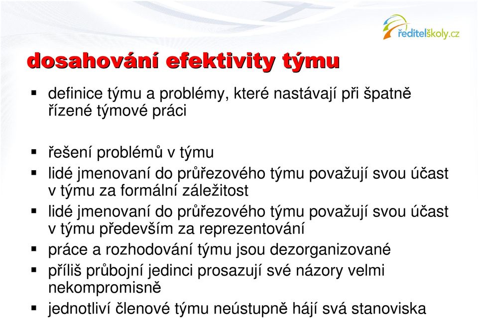 týmu považují svou úast v týmu pedevším za reprezentování práce a rozhodování týmu jsou dezorganizované