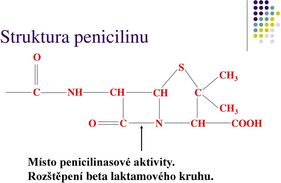 Místo penicilinasové aktivity.