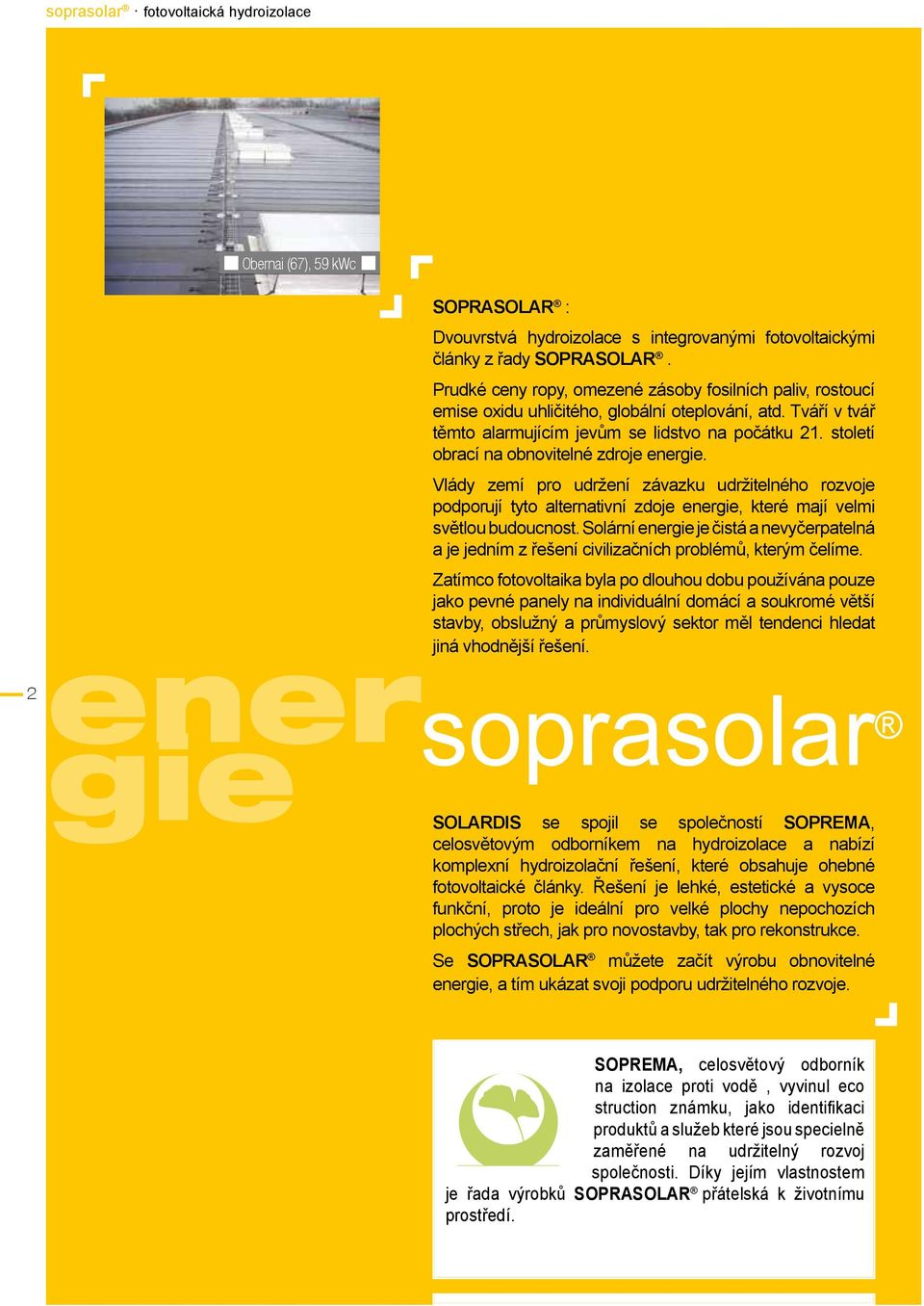 století obrací na obnovitelné zdroje energie. Vlády zemí pro udržení závazku udržitelného rozvoje podporují tyto alternativní zdoje energie, které mají velmi světlou budoucnost.