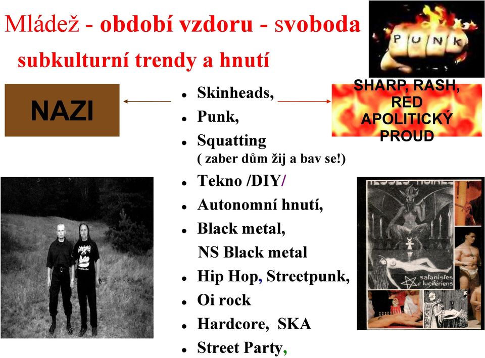 ) Tekno /DIY/ Autonomní hnutí, Black metal, NS Black metal Hip