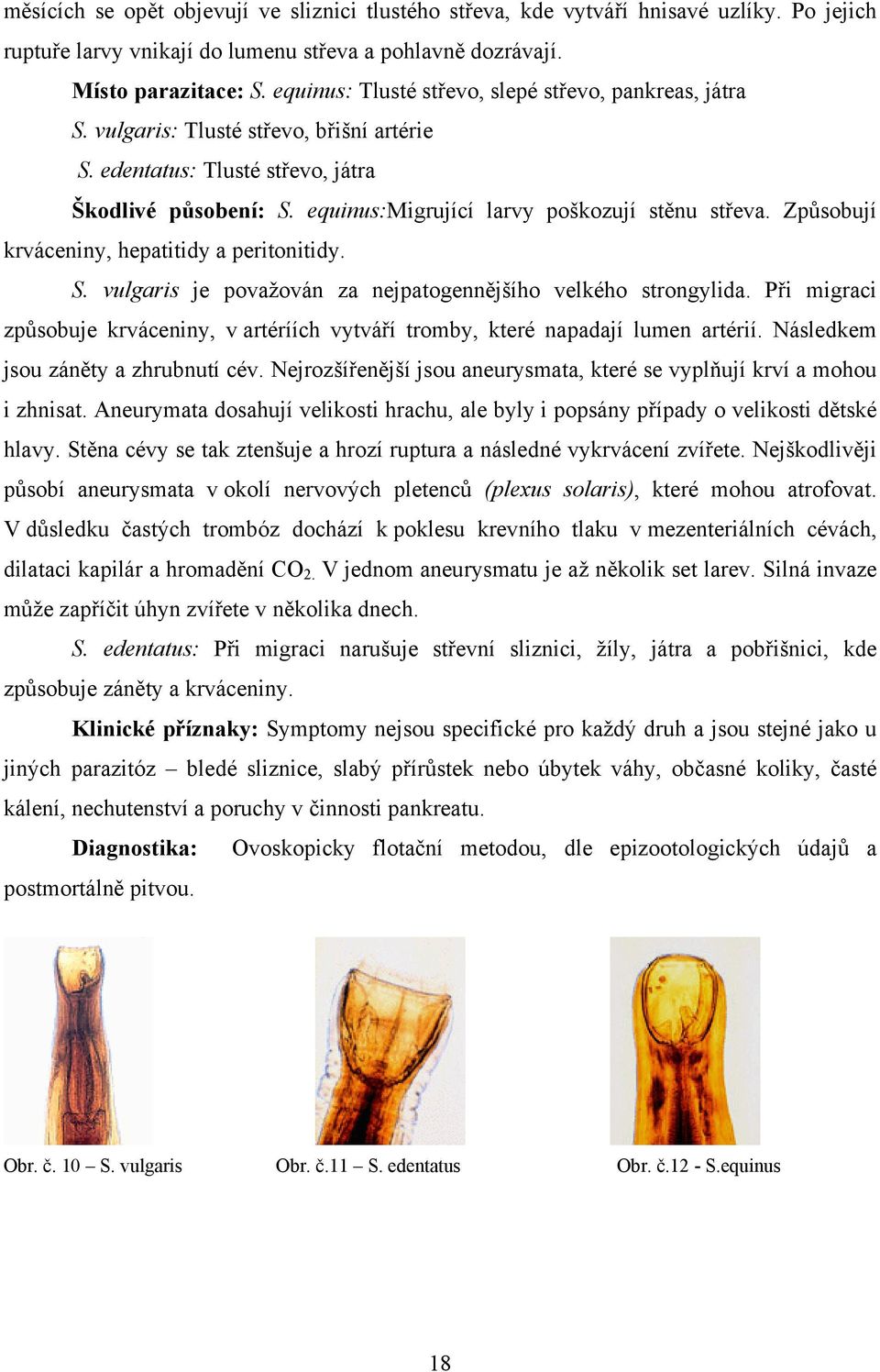 equinus:migrující larvy poškozují stěnu střeva. Způsobují krváceniny, hepatitidy a peritonitidy. S. vulgaris je považován za nejpatogennějšího velkého strongylida.