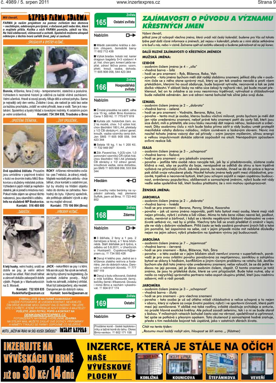 DÁREČEK 6 letý husky, velmi hodný, snáší se dobře se psy, je velmi aktivní a naučil se utíkat Rád chodí běhat a zároveň dokáže zabezpečit dobře výběh Pejsek je v Markvartovicích na S Moravě Kontakt: