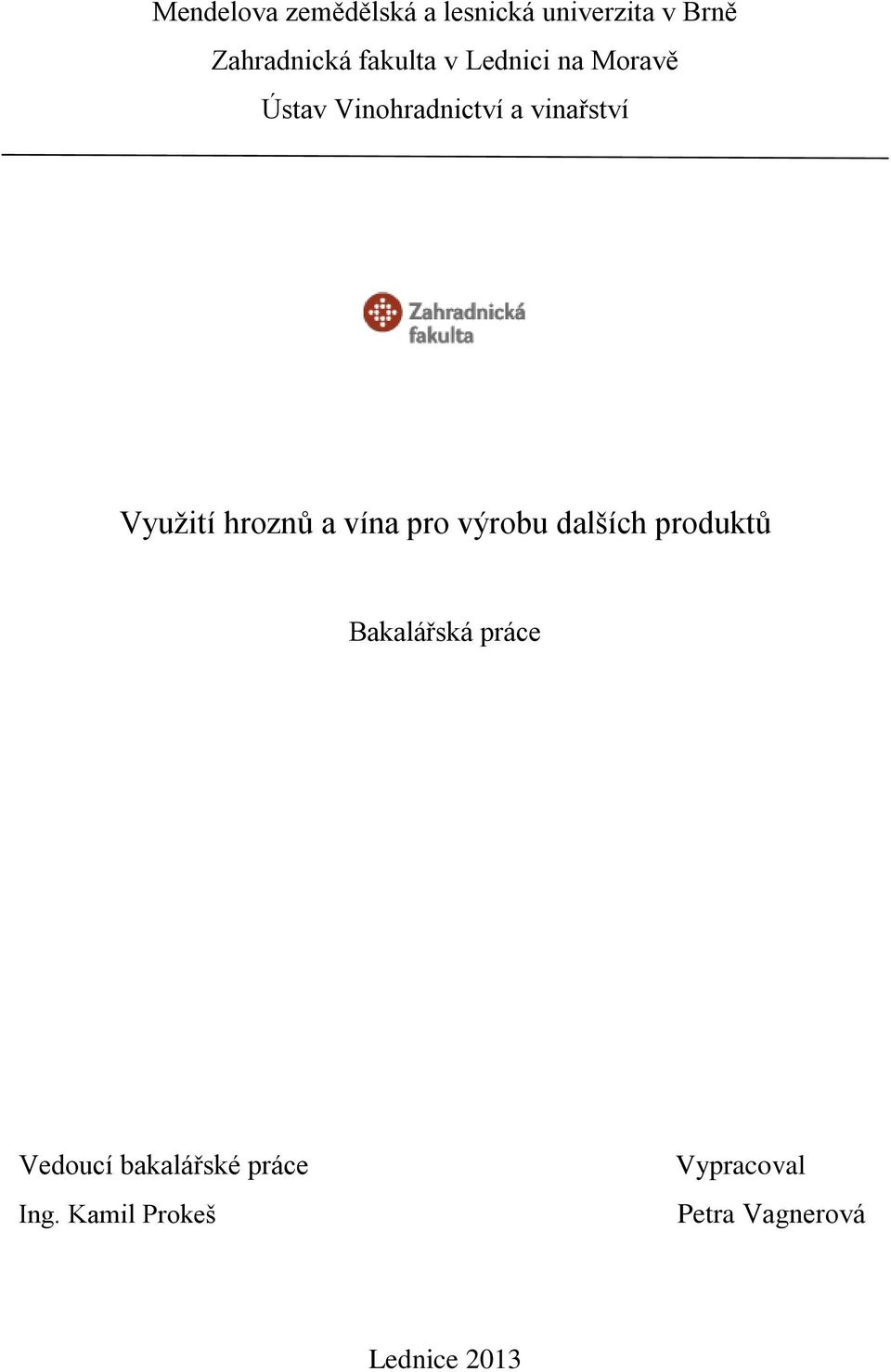Využití hroznů a vína pro výrobu dalších produktů Bakalářská práce