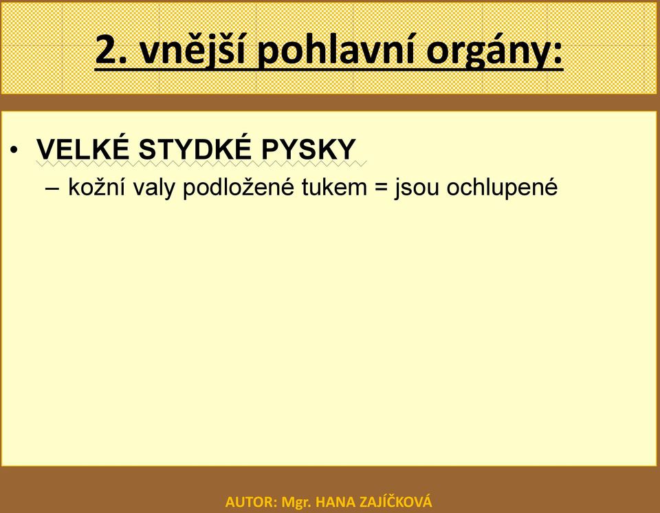 PYSKY kožní valy