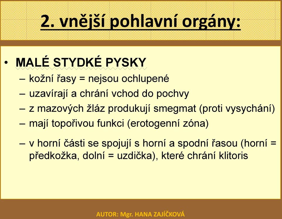 vysychání) mají topořivou funkci (erotogenní zóna) v horní části se spojují s