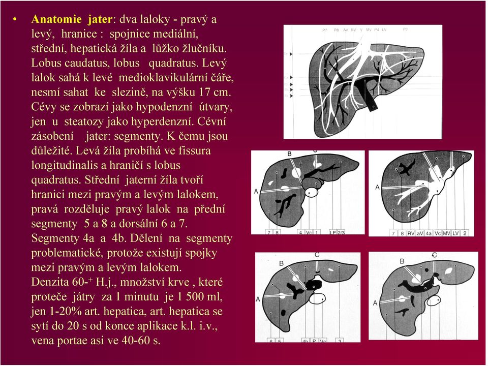 K čemu jsou důležité. Levá žíla probíhá ve fissura longitudinalis a hraničí s lobus quadratus.