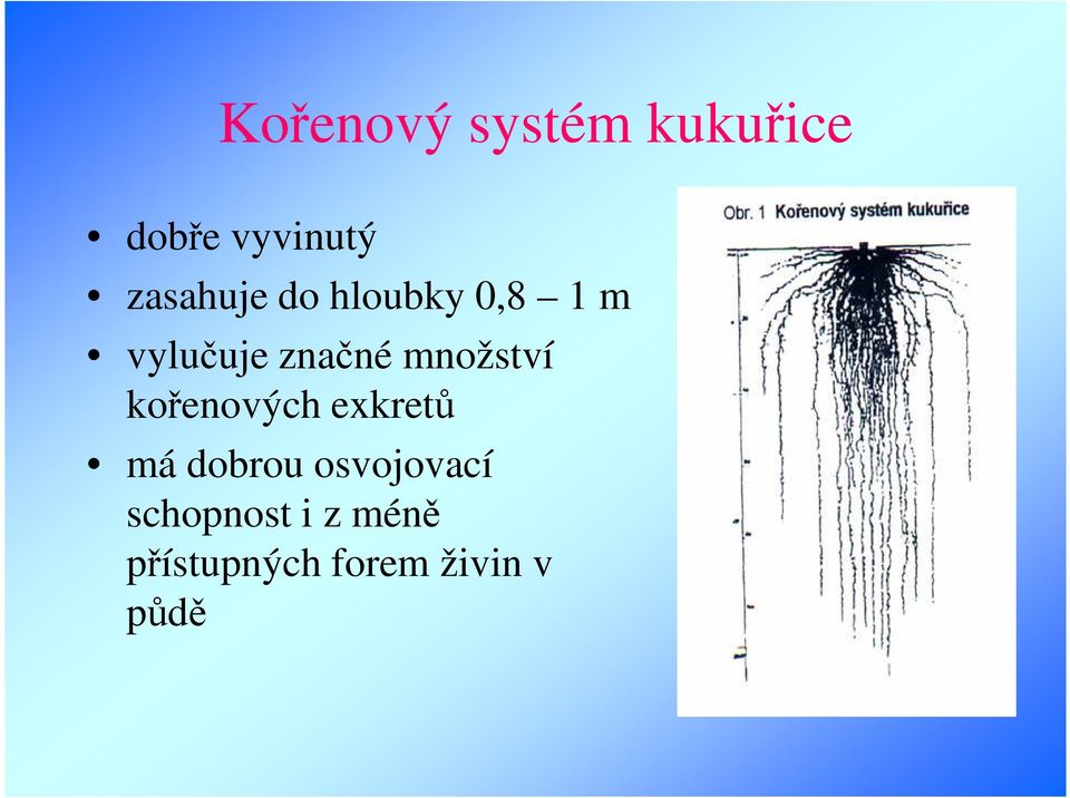 množství kořenových exkretů má dobrou