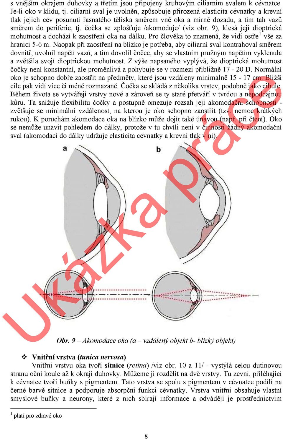 čočka se zplošťuje /akomoduje/ (viz obr. 9), klesá její dioptrická mohutnost a dochází k zaostření oka na dálku. Pro člověka to znamená, že vidí ostře 1 vše za hranicí 5-6 m.