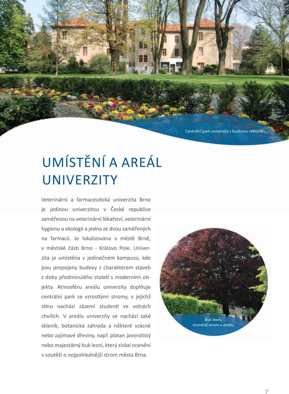 Univerzita je umístěna v jedinečném kampusu, kde jsou propojeny budovy s charakterem staveb z doby předminulého století s moderními objekty.