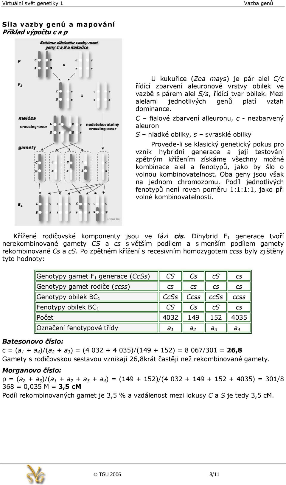 C filové zbrvení lleuronu, c - nezbrvený leuron S hldké obilky, s svrsklé obilky Provede-li se klsický genetický pokus pro vznik hybridní generce její testování zpětným křížením získáme všechny možné