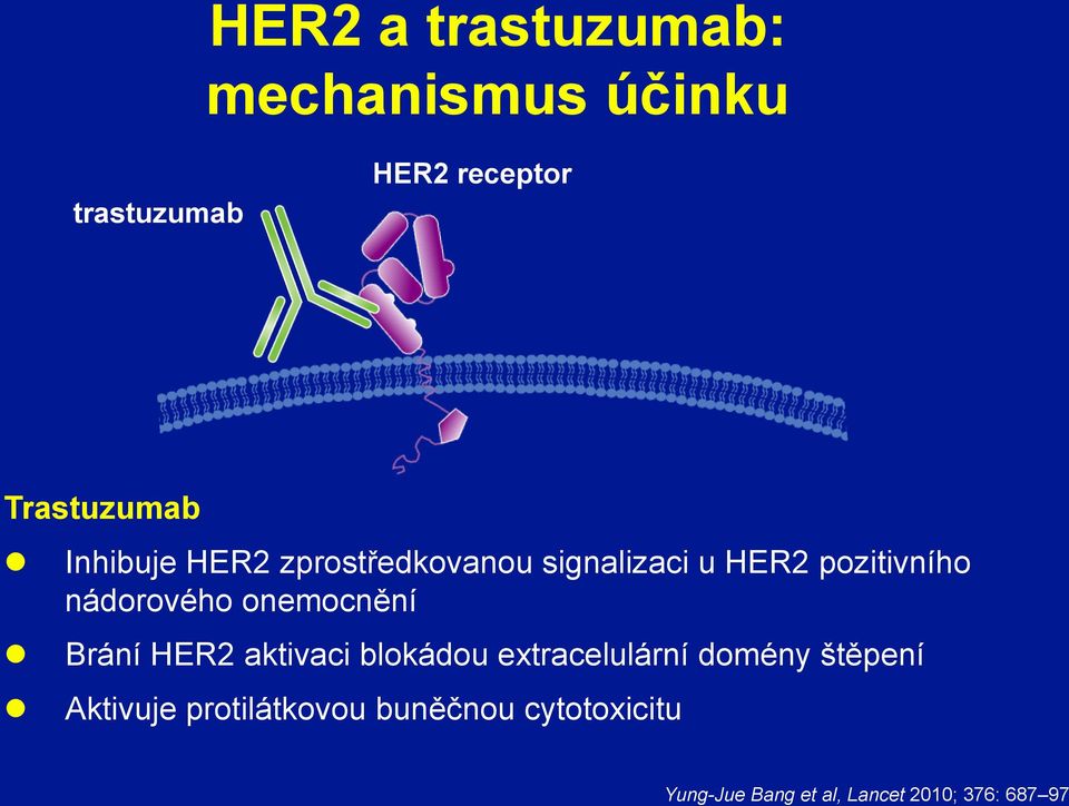 zprostředkovanou signalizaci u HER2 pozitivního nádorového onemocnění Brání