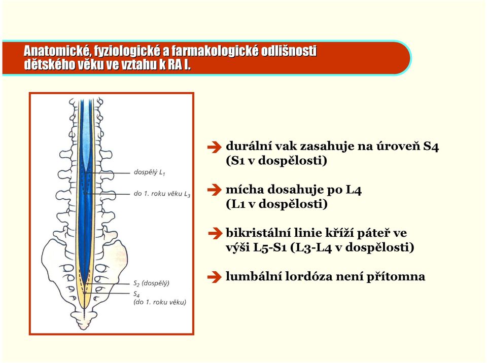 durální vak zasahuje na úroveň S4 (S1 v dospělosti) mícha dosahuje