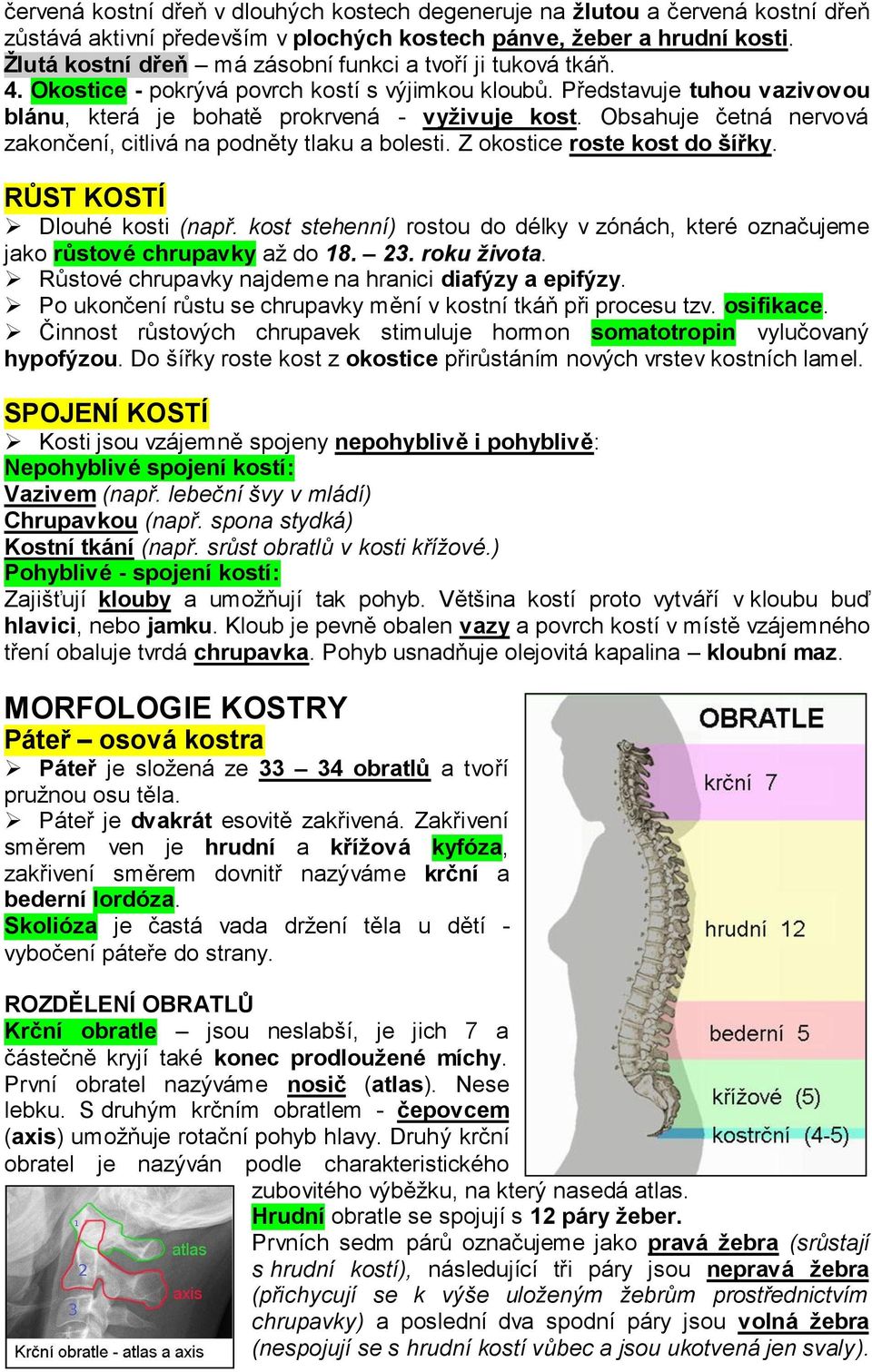 Obsahuje četná nervová zakončení, citlivá na podněty tlaku a bolesti. Z okostice roste kost do šířky. RŮST KOSTÍ Dlouhé kosti (např.