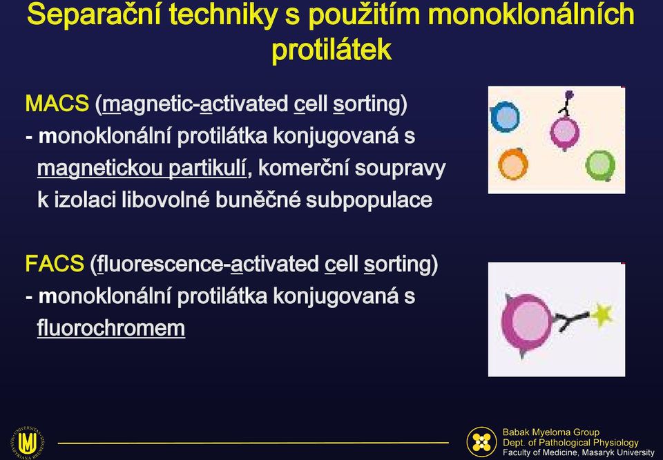 magnetickou partikulí, komerční soupravy k izolaci libovolné buněčné