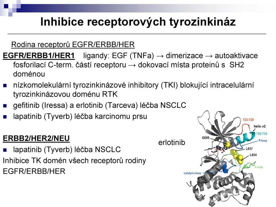 částí receptoru dokovací místa proteinů s SH2 doménou nízkomolekulární tyrozinkinázové inhibitory (TKI) blokující
