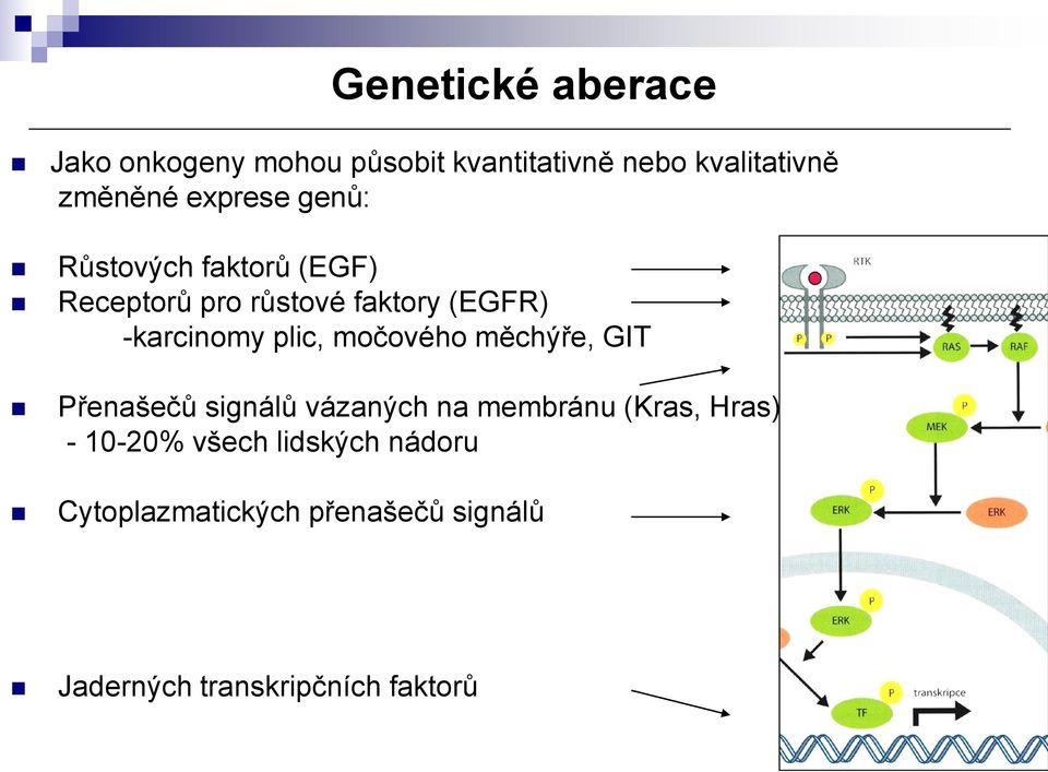 plic, močového měchýře, GIT Přenašečů signálů vázaných na membránu (Kras, Hras) -