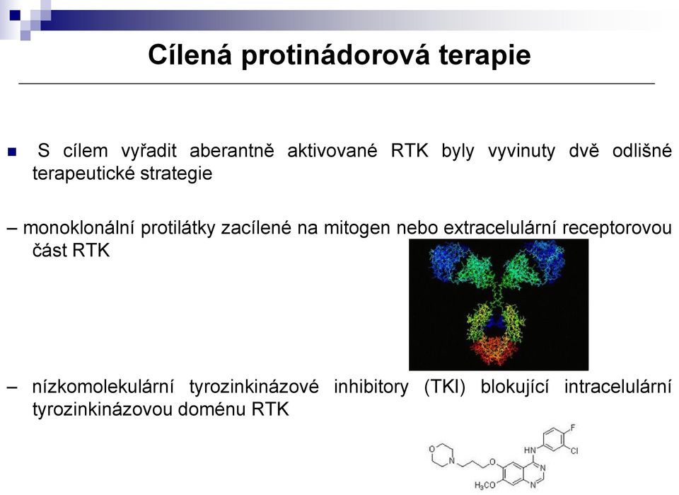 na mitogen nebo extracelulární receptorovou část RTK nízkomolekulární