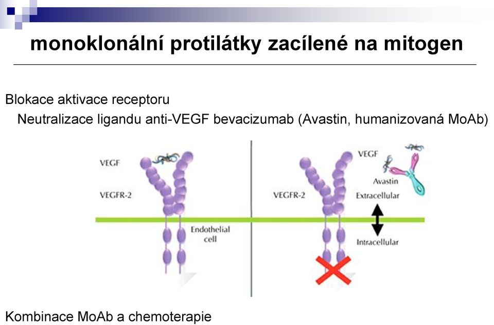 Neutralizace ligandu anti-vegf bevacizumab