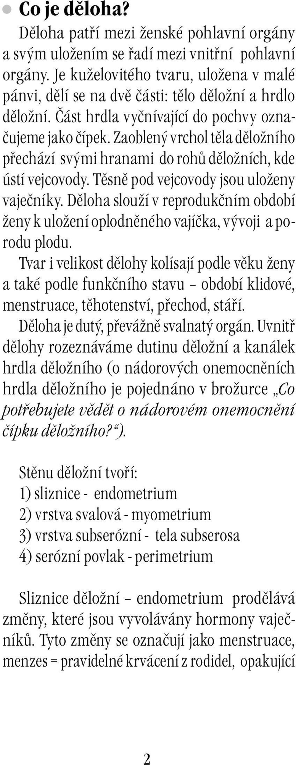 Zaoblený vrchol těla děložního přechází svými hranami do rohů děložních, kde ústí vejcovody. Těsně pod vejcovody jsou uloženy vaječníky.