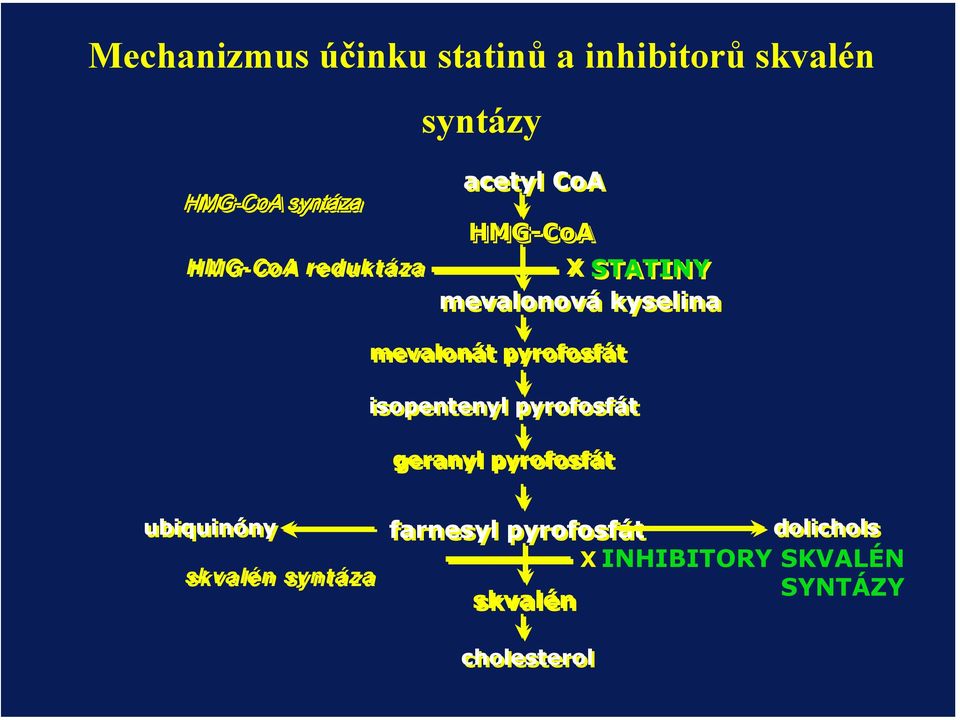 pyrofosfát isopentenyl pyrofosfát geranyl pyrofosfát ubiquinóny skvalén