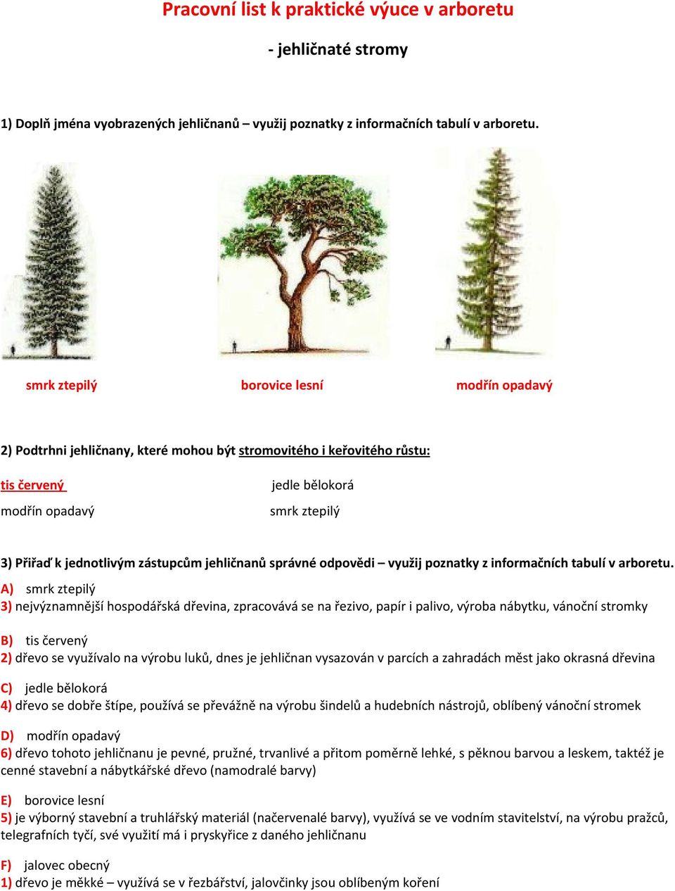 zástupcům jehličnanů správné odpovědi využij poznatky z informačních tabulí v arboretu.