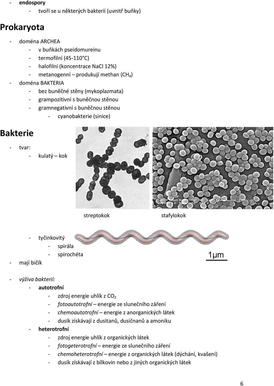 streptokok stafylokok - tyčinkovitý - spirála - spirochéta - mají bičík - výživa bakterií: - autotrofní - zdroj energie uhlík z CO 2 - fotoautotrofní energie ze slunečního záření - chemoautotrofní