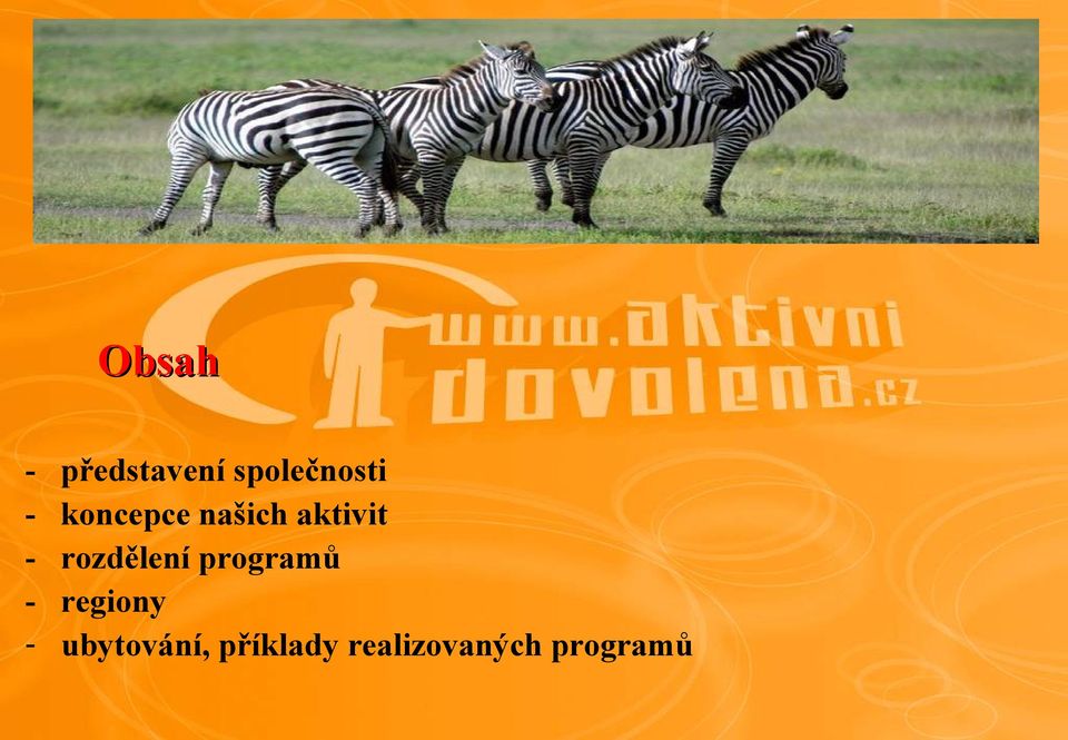 rozdělení programů - regiony -