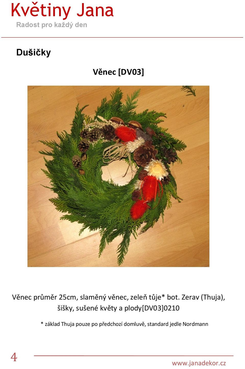 Zerav (Thuja), šišky, sušené květy a