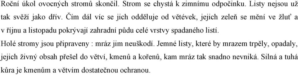 vrstvy spadaného listí. Holé stromy jsou připraveny : mráz jim neuškodí.