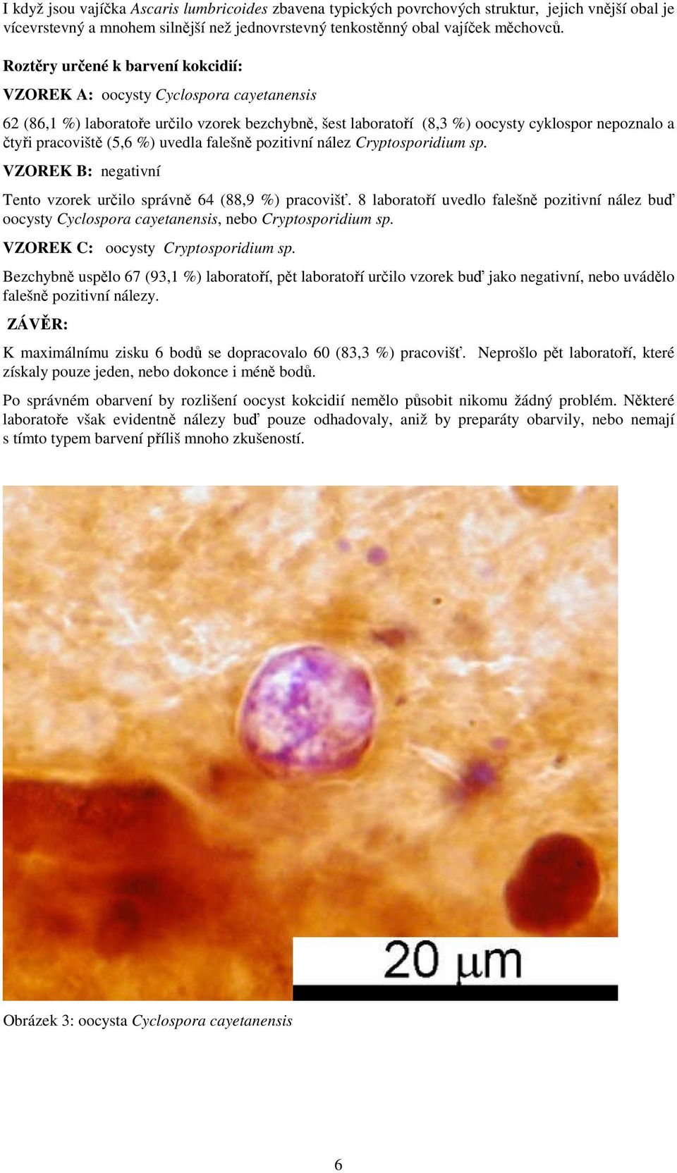 %) uvedla falešně pozitivní nález Cryptosporidium sp. VZOREK B: negativní Tento vzorek určilo správně 64 (88,9 %) pracovišť.