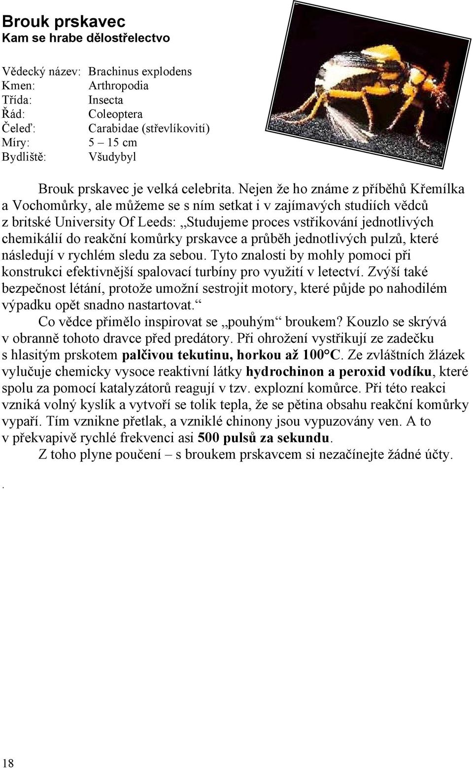 reakční komůrky prskavce a průběh jednotlivých pulzů, které následují v rychlém sledu za sebou. Tyto znalosti by mohly pomoci při konstrukci efektivnější spalovací turbíny pro využití v letectví.