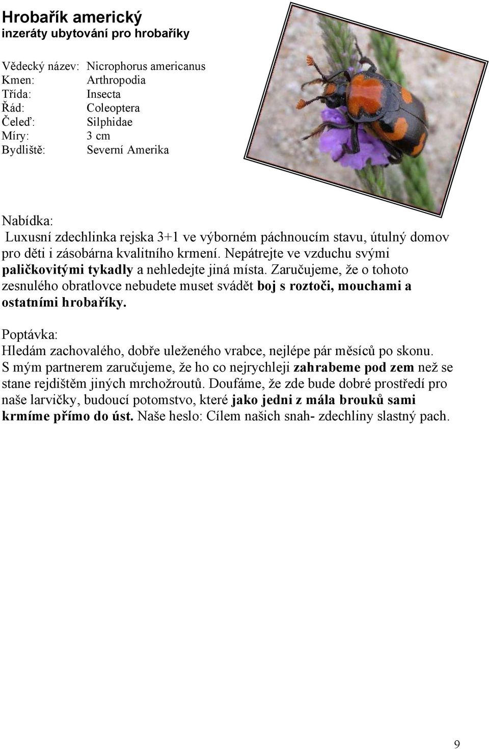 Zaručujeme, že o tohoto zesnulého obratlovce nebudete muset svádět boj s roztoči, mouchami a ostatními hrobaříky. Poptávka: Hledám zachovalého, dobře uleženého vrabce, nejlépe pár měsíců po skonu.