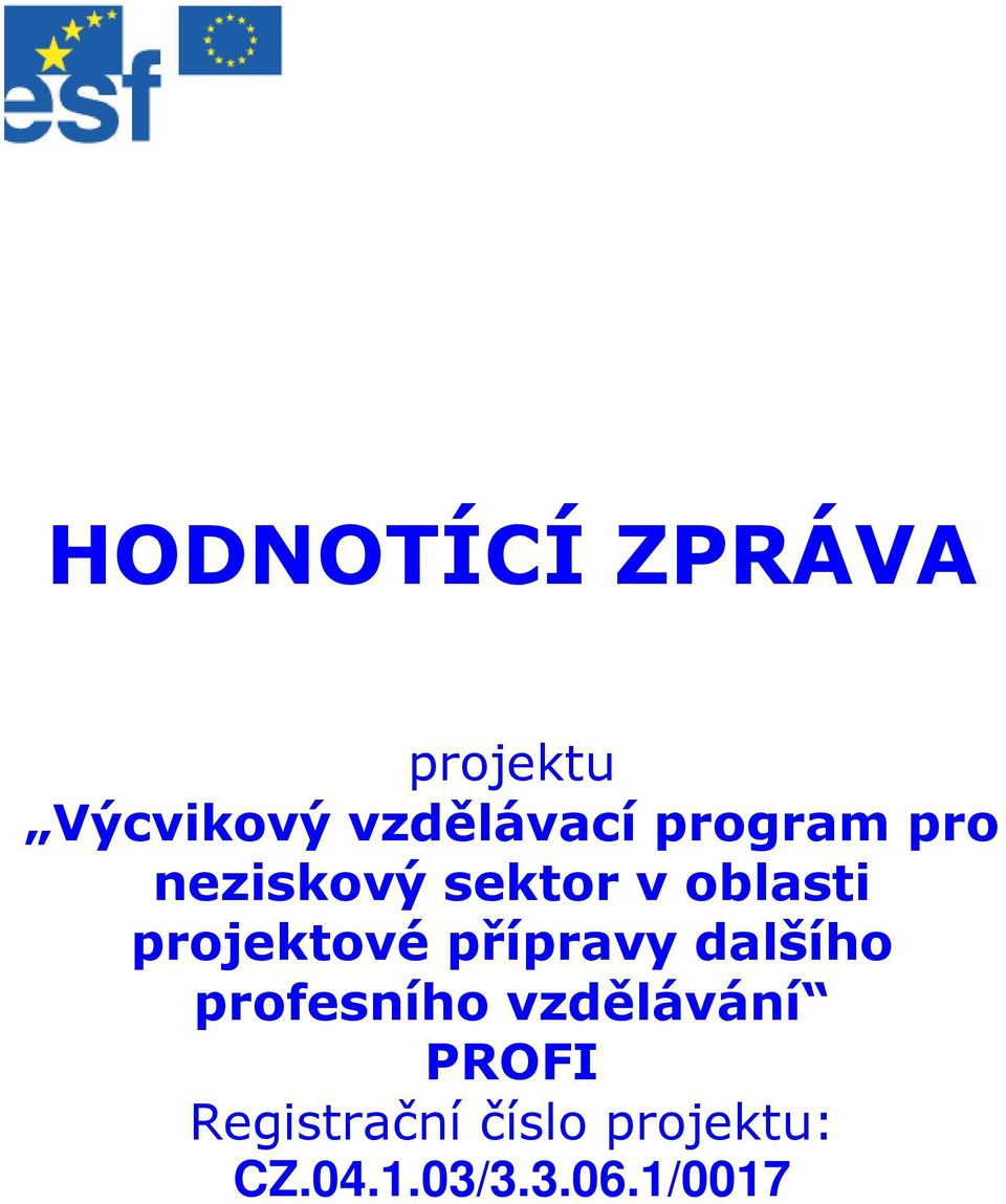 projektové přípravy dalšího profesního