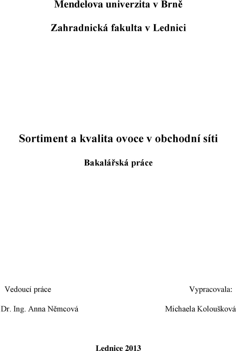 Bakalářská práce Vedoucí práce Dr. Ing.