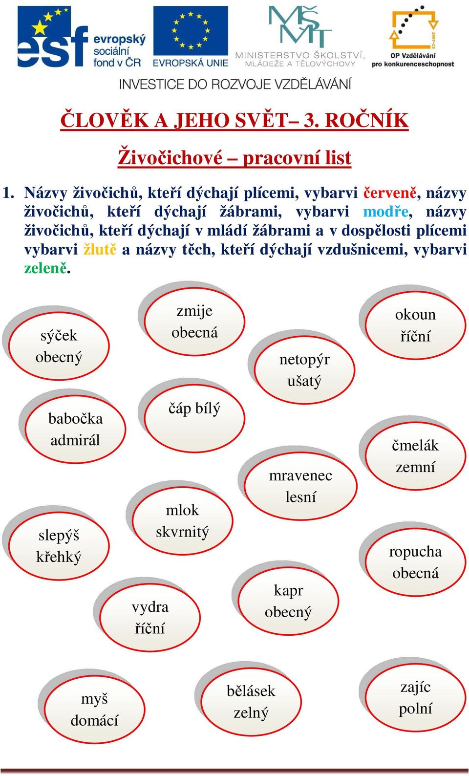 kteří dýchají v mládí žábrami a v dospělosti plícemi vybarvi žlutě a názvy těch, kteří dýchají vzdušnicemi, vybarvi zeleně.