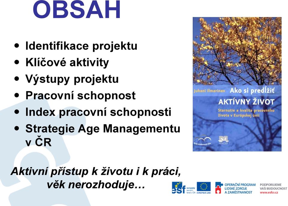 pracovní schopnosti Strategie Age Managementu v