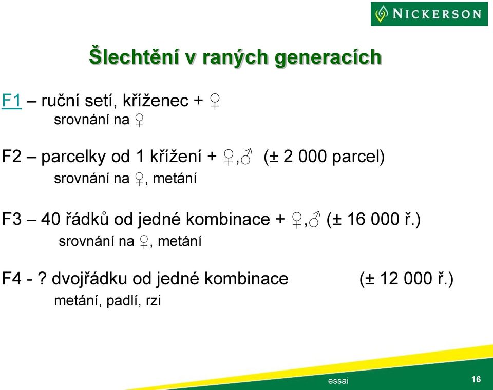 40 řádků od jedné kombinace +, (± 16 000 ř.