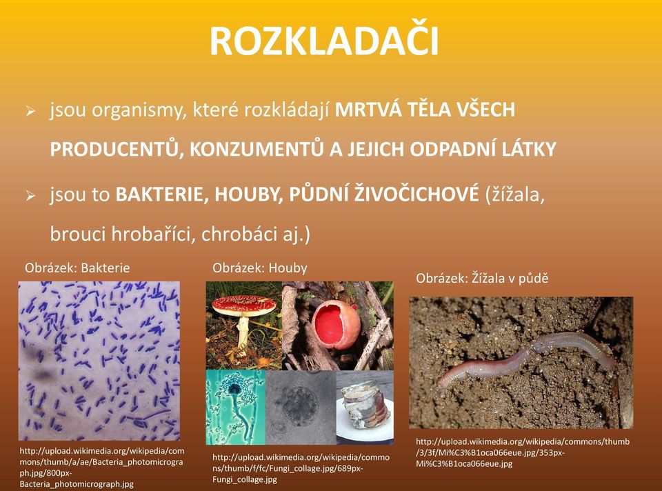 org/wikipedia/com mons/thumb/a/ae/bacteria_photomicrogra ph.jpg/800px- Bacteria_photomicrograph.jpg http://upload.wikimedia.