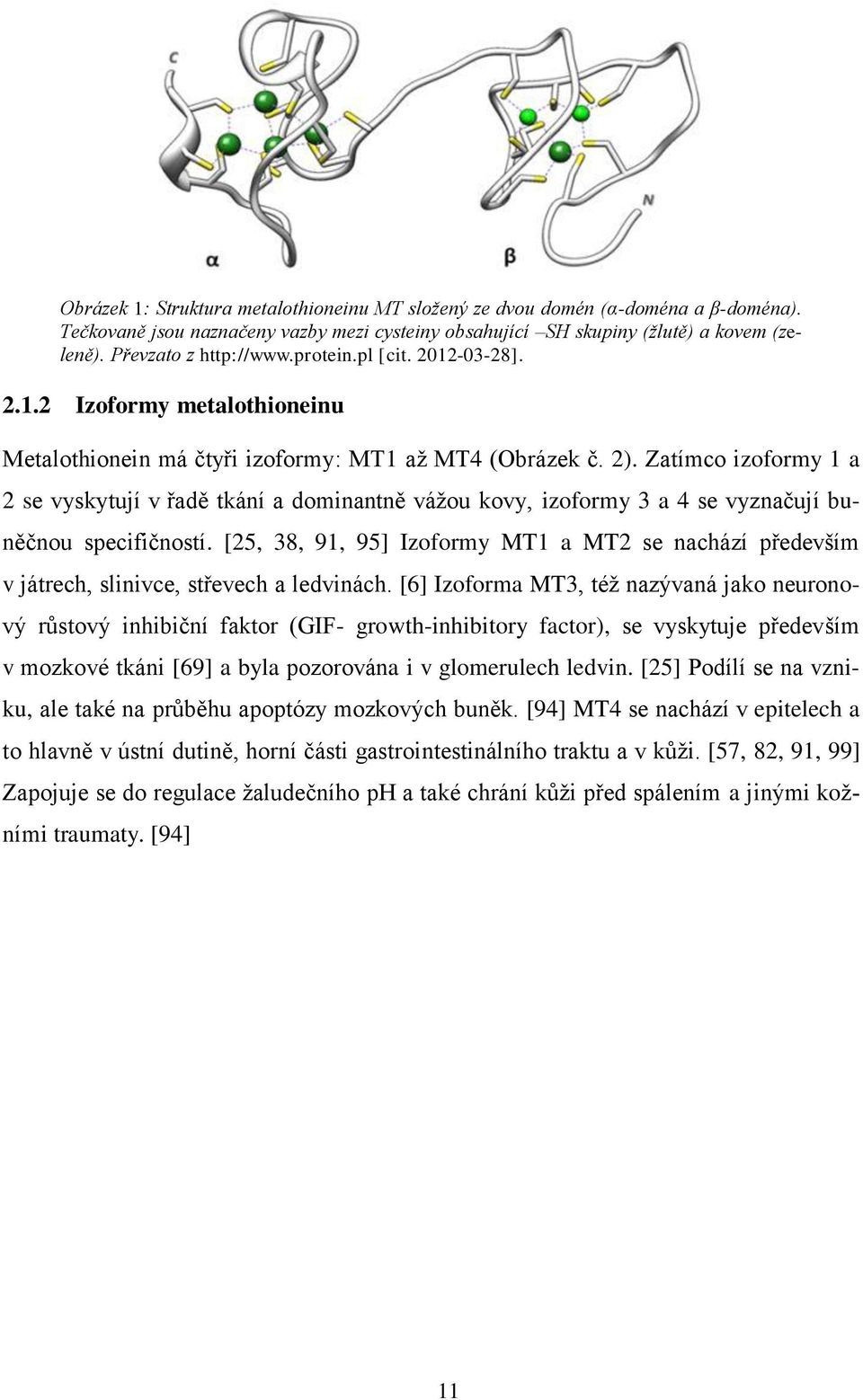 Zatímco izoformy 1 a 2 se vyskytují v řadě tkání a dominantně vážou kovy, izoformy 3 a 4 se vyznačují buněčnou specifičností.