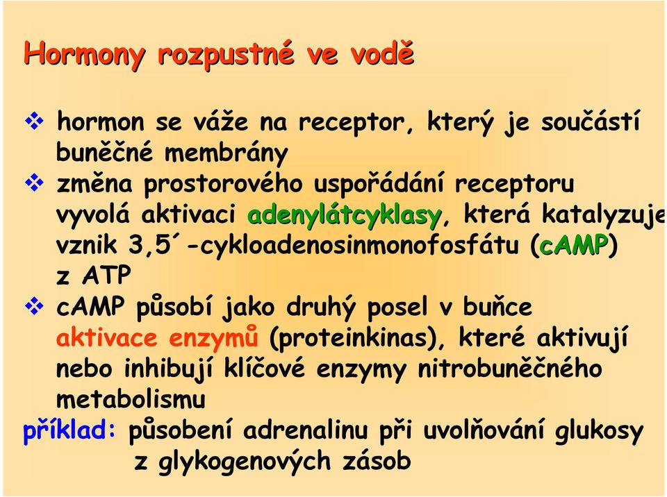 -cykloadenosinmonofosfátu (camp) z ATP camp působí jako druhý posel v buňce aktivace enzymů (proteinkinas),