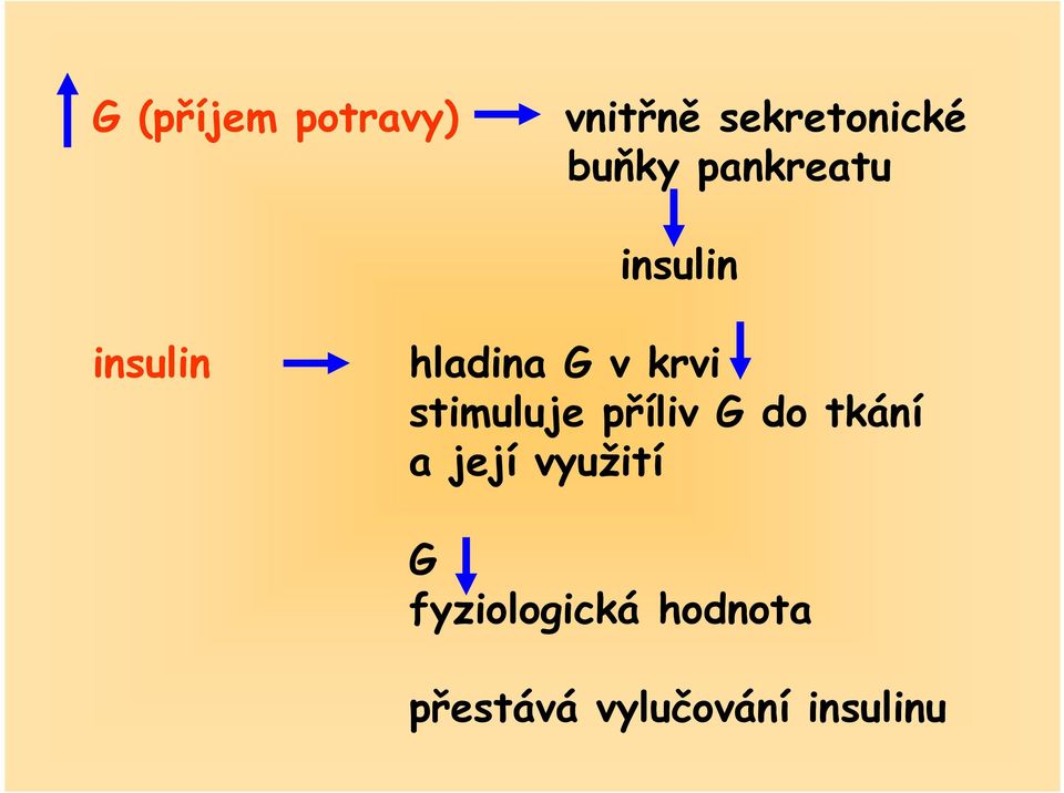 stimuluje příliv G do tkání a její využití G