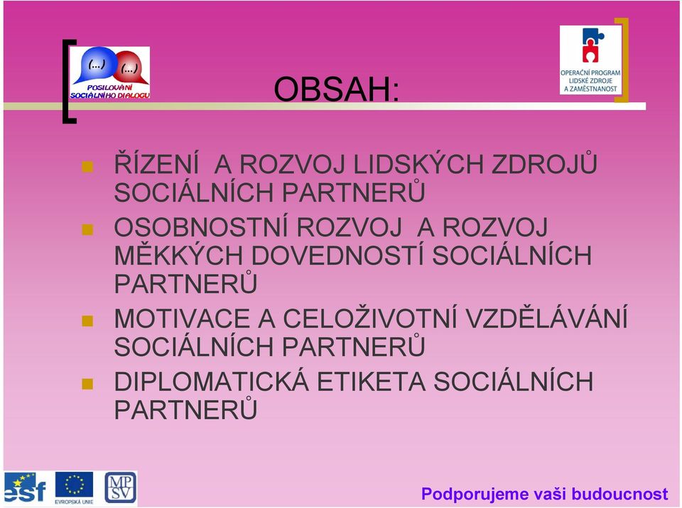 SOCIÁLNÍCH PARTNERŮ MOTIVACE A CELOŽIVOTNÍ VZDĚLÁVÁNÍ