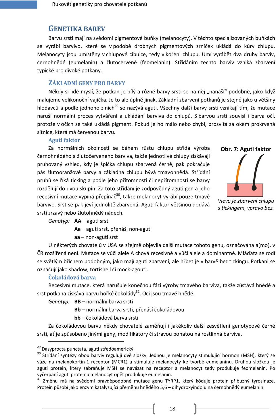 Umí vyrábět dva druhy barviv, černohnědé (eumelanin) a žlutočervené (feomelanin). Střídáním těchto barviv vzniká zbarvení typické pro divoké potkany.