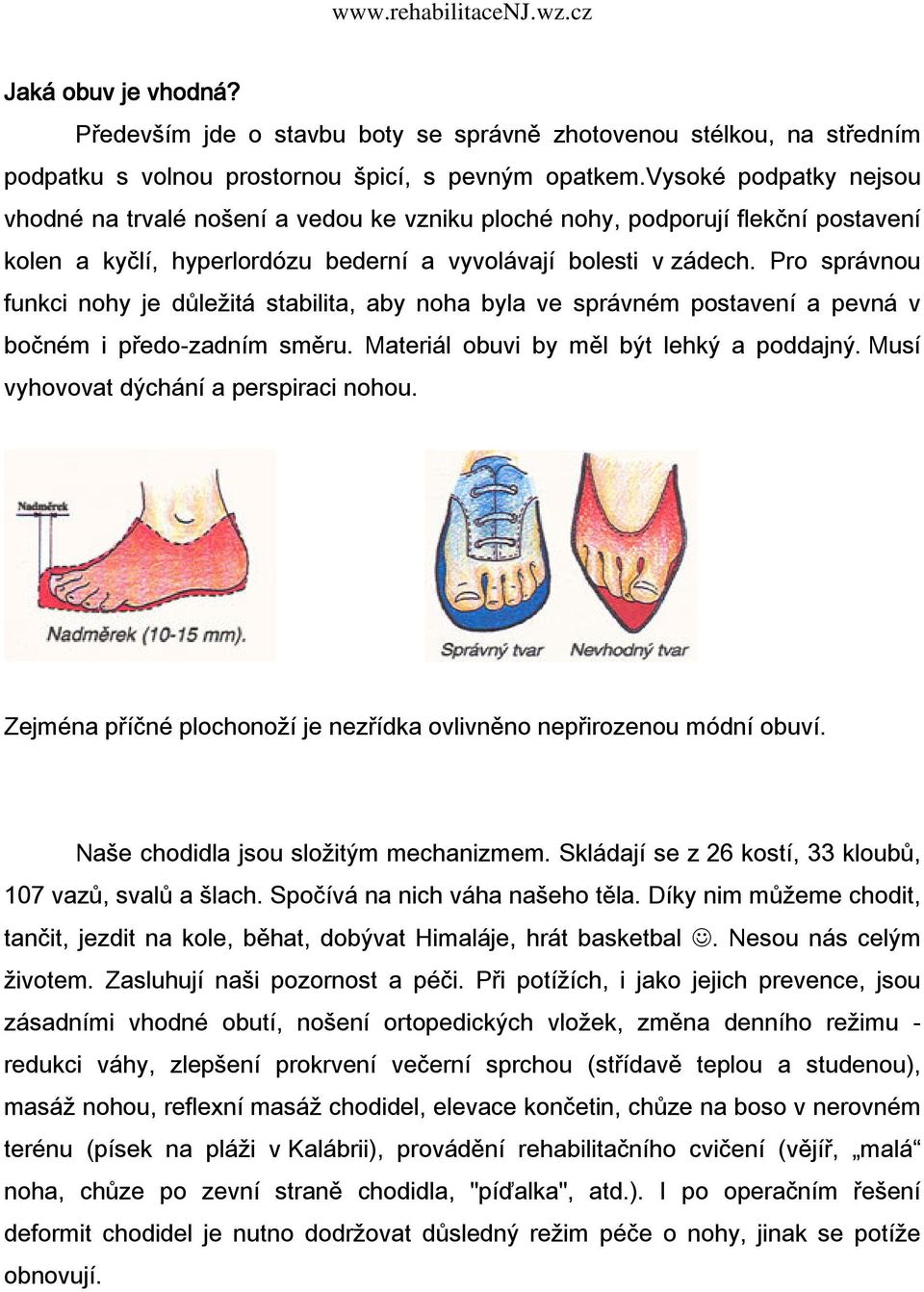 Pro správnou funkci nohy je důležitá stabilita, aby noha byla ve správném postavení a pevná v bočném i předo-zadním směru. Materiál obuvi by měl být lehký a poddajný.