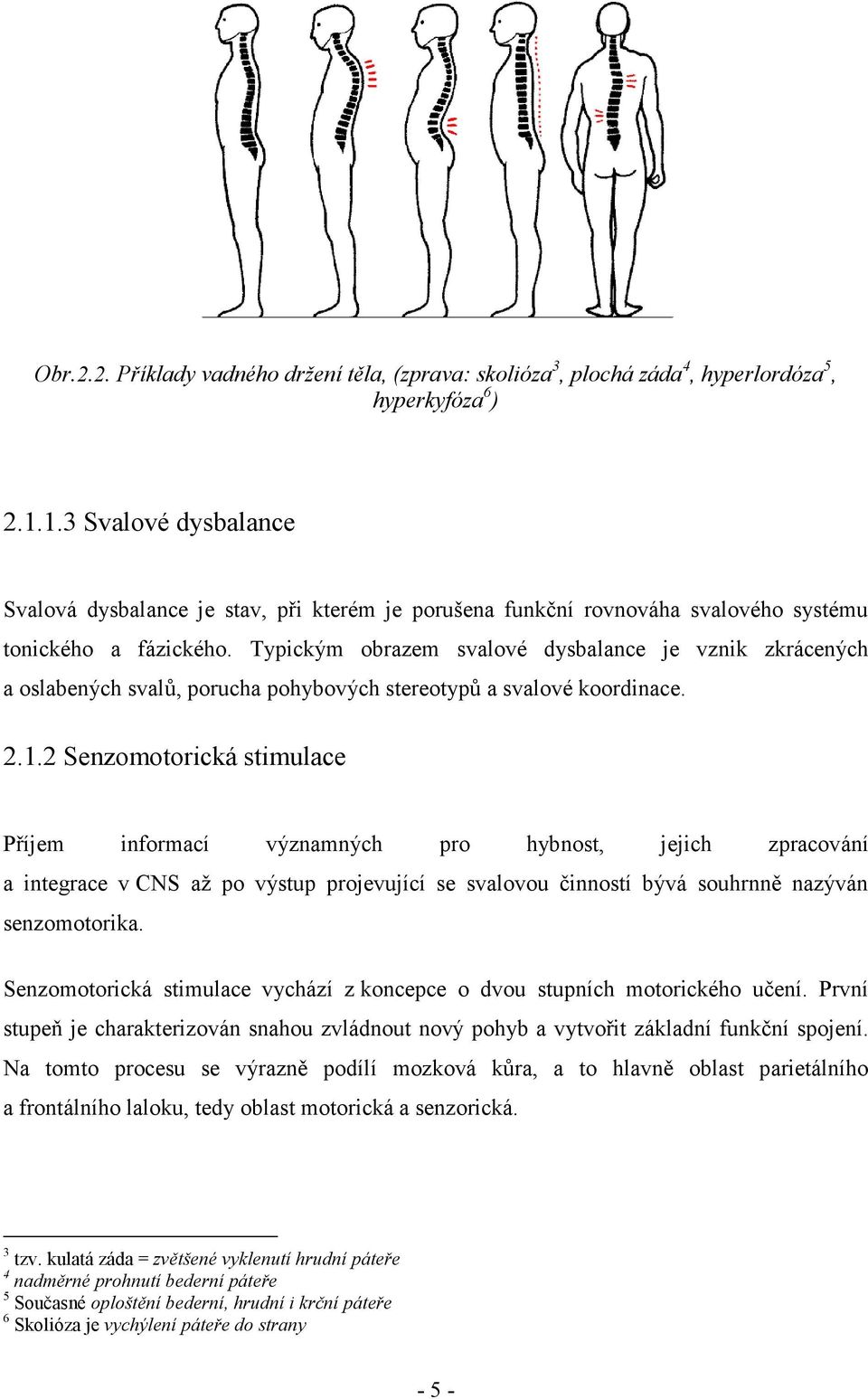 Typickým obrazem svalové dysbalance je vznik zkrácených a oslabených svalů, porucha pohybových stereotypů a svalové koordinace. 2.1.