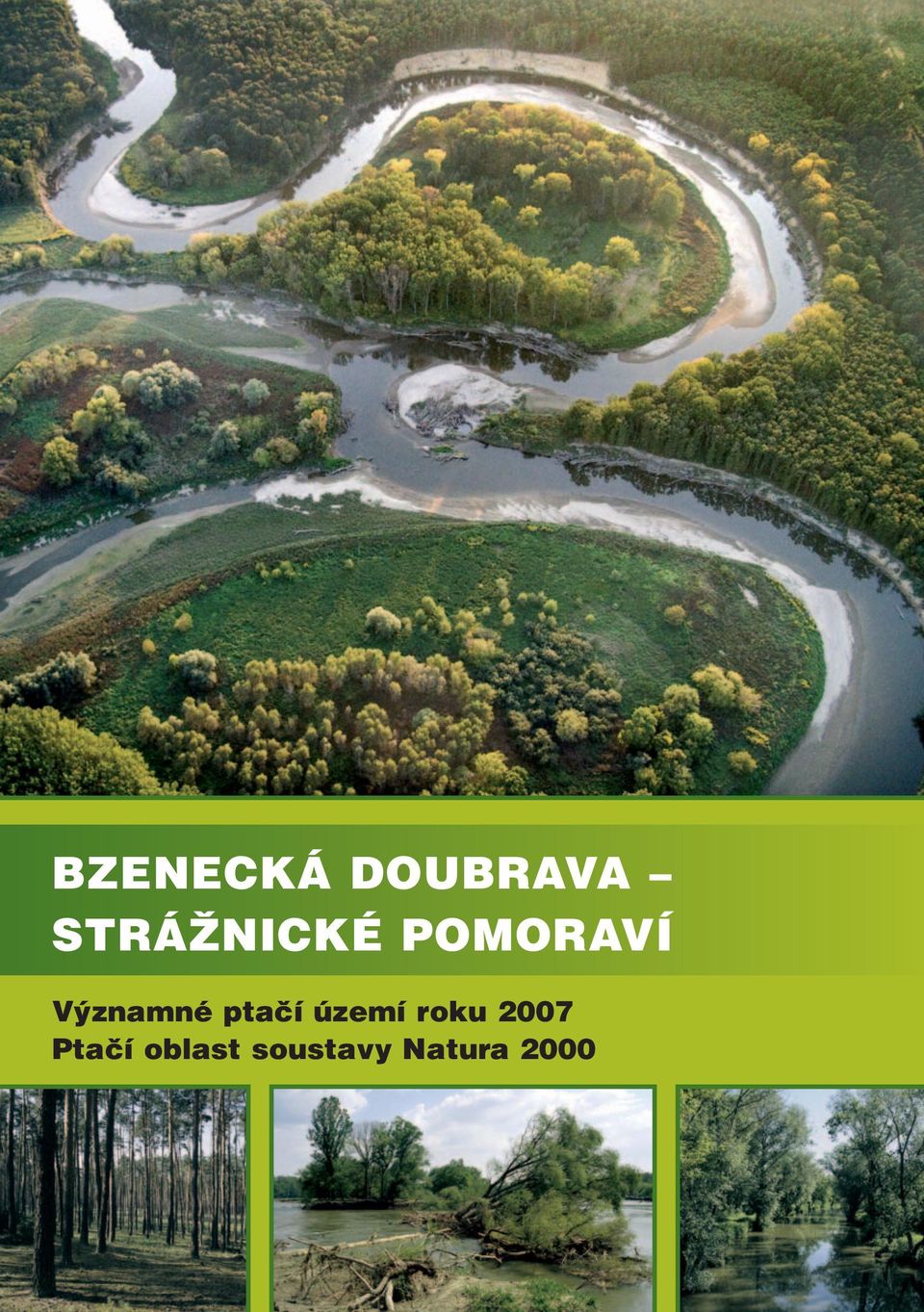 Významné ptačí území roku