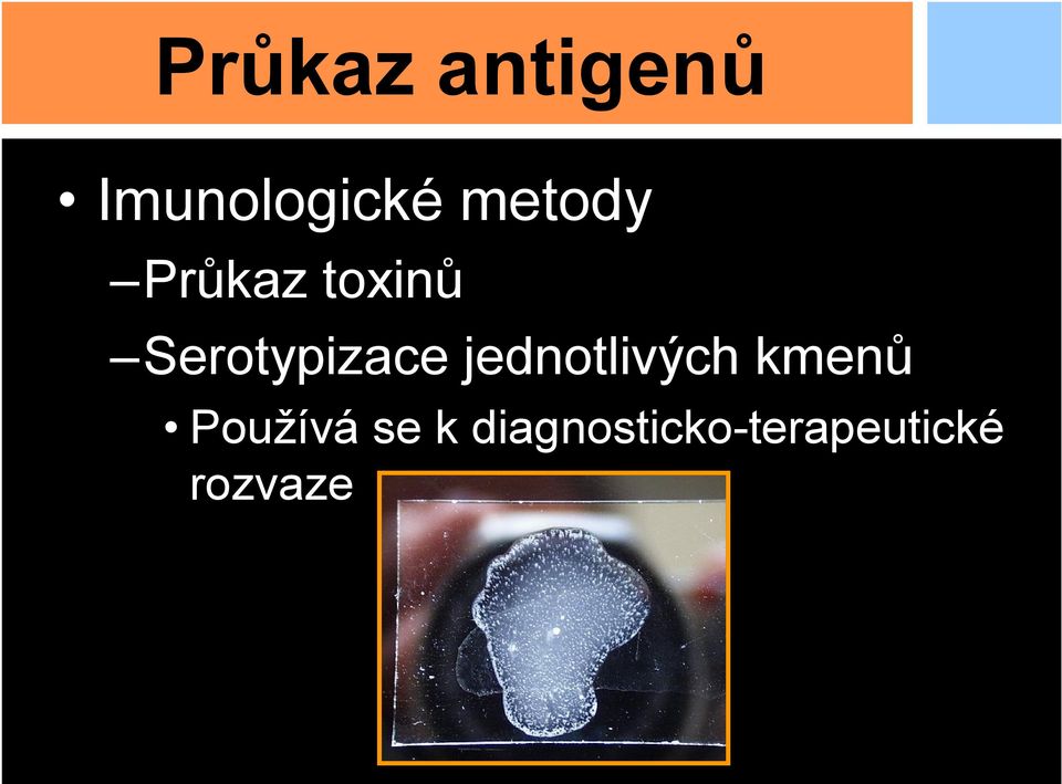 Serotypizace jednotlivých kmenů