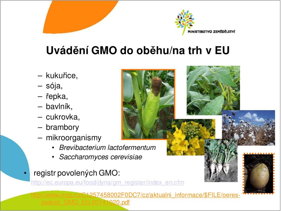 registr povolených GMO: http://ec.europa.eu/food/dyna/gm_register/index_en.