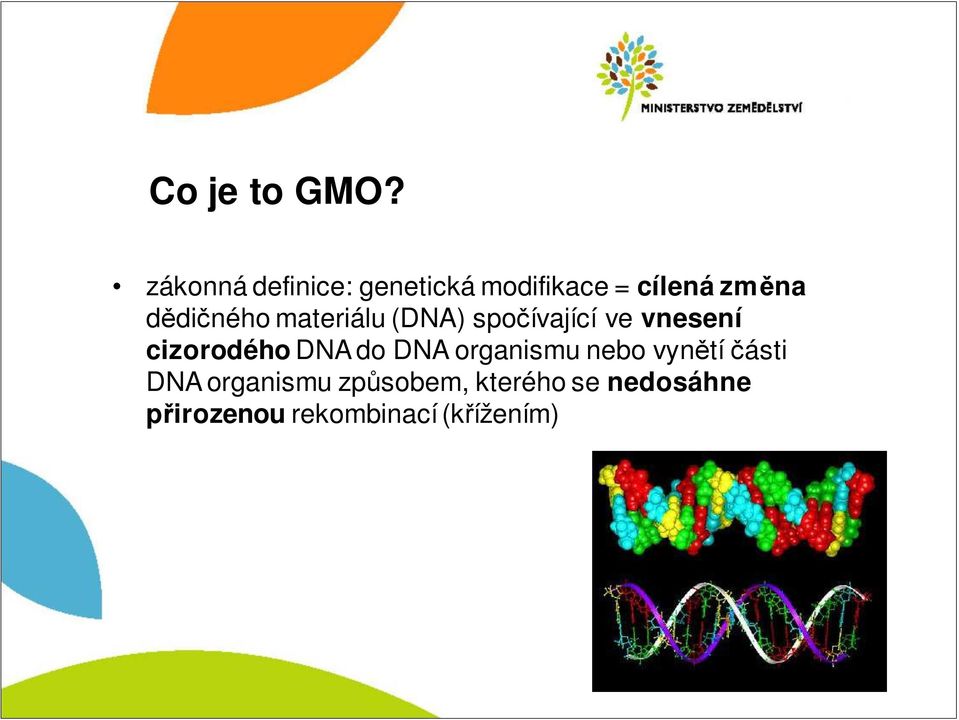 dědičného materiálu (DNA) spočívající ve vnesení cizorodého