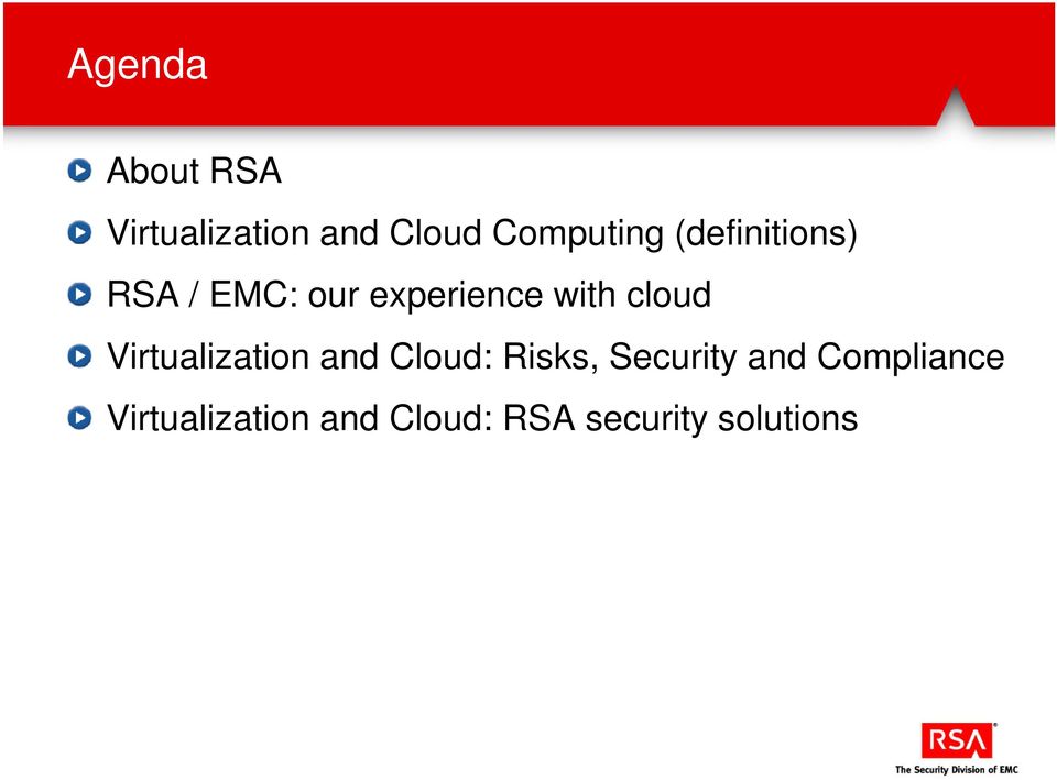Virtualization and Cloud: Risks, Security and